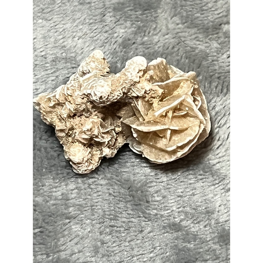 Desert Rose Selenite Crystal Cluster 2in Natural Gypsum Formation Specimen
